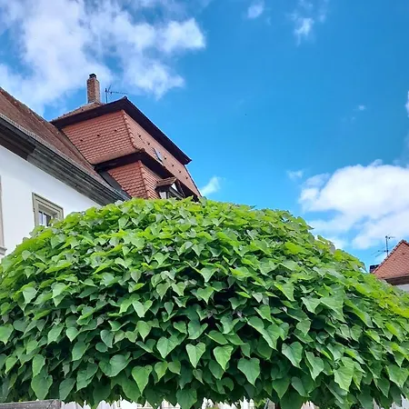 Maison d'hôtes Gaestehaus Leonie 3*