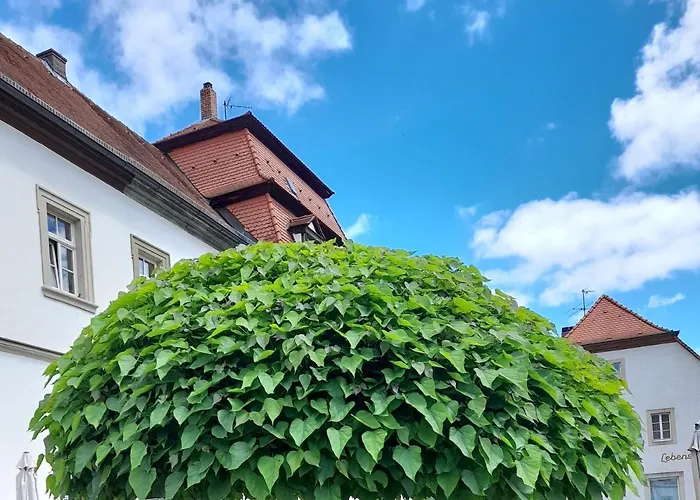 Πανσιόν Gaestehaus Leonie 3*